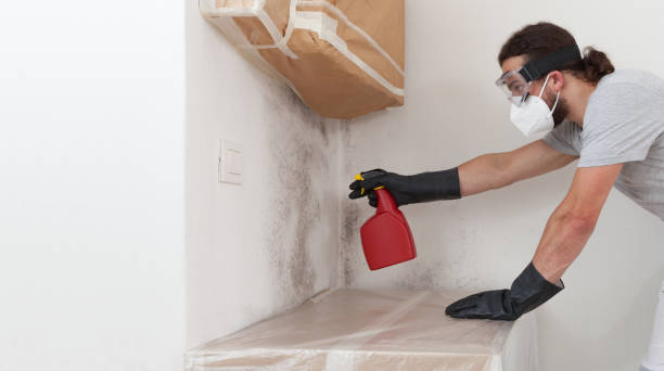 Professional Basement Mold Remediation technician working in Jordan, MN